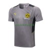 BVB Borussia Dortmund Maillot d'Entraînement 22-23 Gris Clair Pour Homme